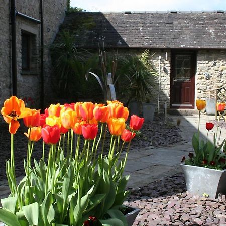 Birslack Grange Kendal Exteriör bild