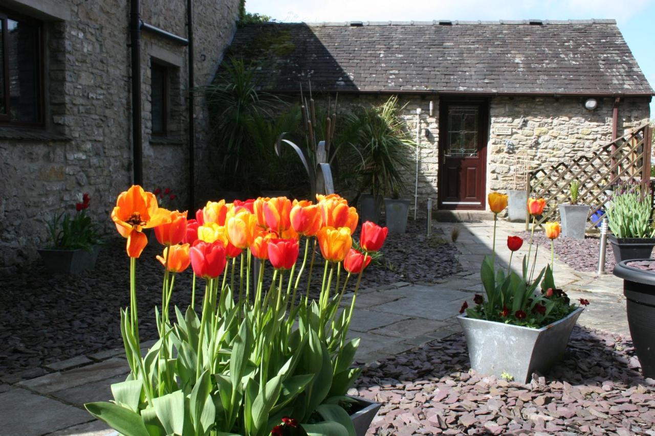Birslack Grange Kendal Exteriör bild