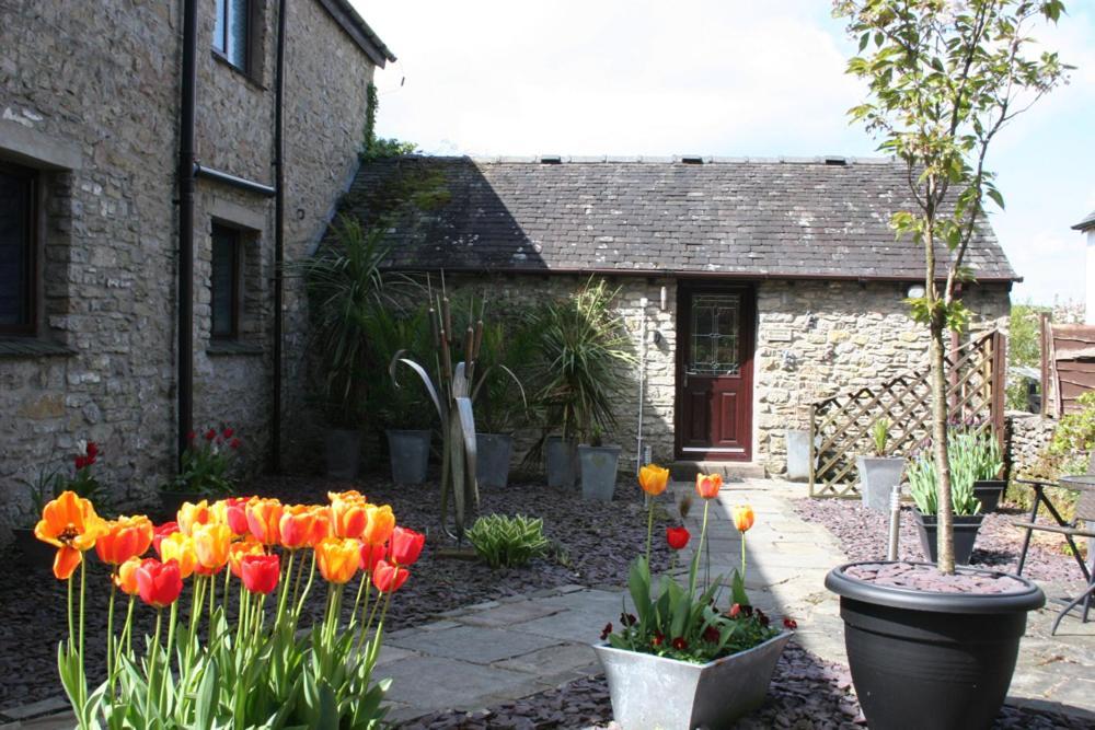 Birslack Grange Kendal Exteriör bild